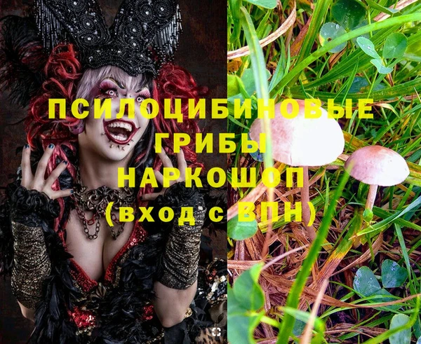 тгк Белокуриха