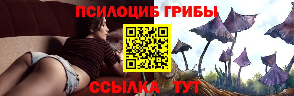 Волжск  Галлюциногенные грибы ЛСД  Вход с VPN  наркотики  Галлюциногенные грибы GOLDEN TEACHER 